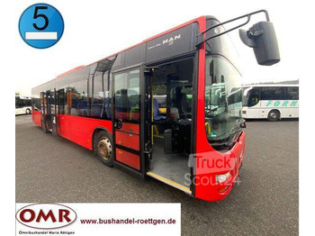 Miesto autobusas MAN - A 20/ A 21/ Lion?s City/ O 530/ Citaro: foto 1