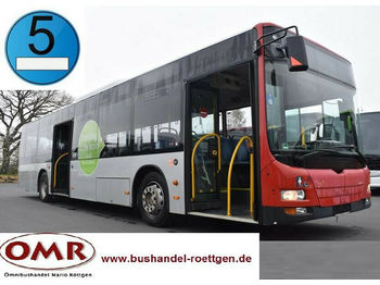 Miesto autobusas MAN A 37 Lion´s City /A20/A21/530/Citaro/EEV: foto 1