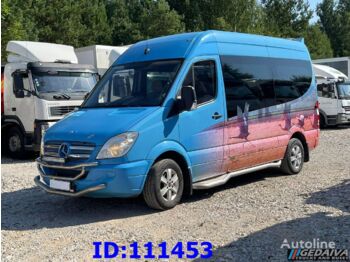 Mikroautobusas, Keleivinis furgonas MERCEDES-BENZ Sprinter 319 VIP Luxury Euro5: foto 1