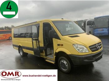 Mikroautobusas, Keleivinis furgonas Mercedes-Benz 518 CDI Sprinter/ 4x4/ Allrad/ 516/ 24 Sitze: foto 1
