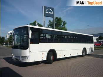 Temsa Tourmalin IC TGSA7L - Turistinis autobusas
