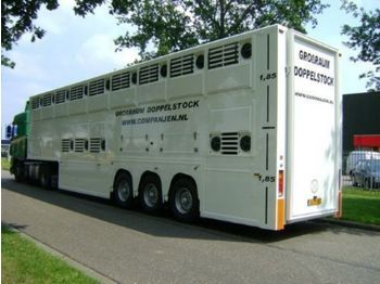 Gyvulių pervežimo puspriekabė Gray and Adams Doppelstock Companjen Cattle Carrier: foto 1
