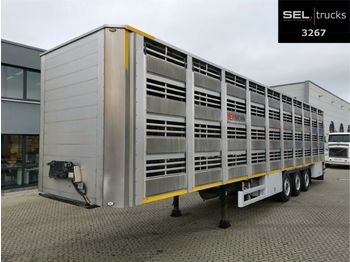 Pezzaioli CIMC / SR03 / 4 Stock / Typ 2 / Ferkeltransporte  - Gyvulių pervežimo puspriekabė