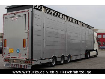 Pezzaioli SBA31-SR  3 Stock "Neu" Vermietung  - Gyvulių pervežimo puspriekabė