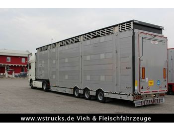 Pezzaioli SBA31-SR  3 Stock  Vermietung  - Gyvulių pervežimo puspriekabė