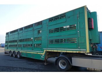  Pezzaioli SBA32/U, 3 Stock , Viehtransporter  , Tränkeranlage, - Gyvulių pervežimo puspriekabė