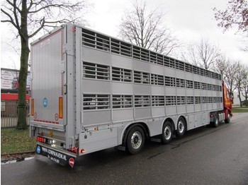 Pezzaioli SBA 63 S - Gyvulių pervežimo puspriekabė