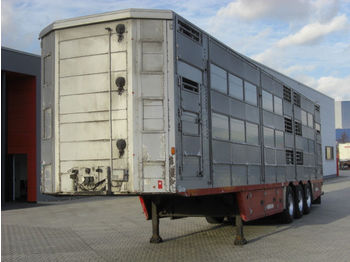 Gyvulių pervežimo puspriekabė Pezzaioli SBA63U / 3 Achsen / BPW-Achsen / 3 Stock: foto 1