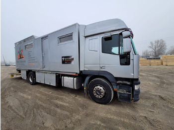 Sunkvežimis žirgams vežti IVECO Eurocargo 190 E 38 - 4 horses transporter: foto 3