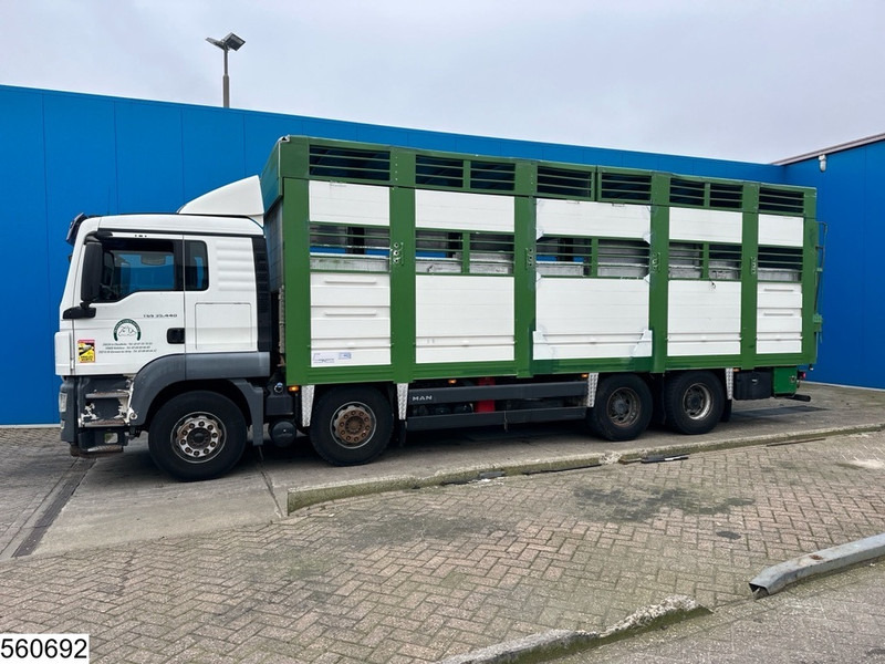 Gyvulių pervežimo sunkvežimis MAN TGS 35 440 8x4,EURO 5,Retarder,Animal transport,2 laye,4 Comp: foto 17