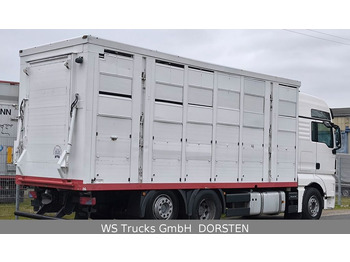 MAN TGX 26.440 FG 6x2  Menke Janzen 3 Stock  - Gyvulių pervežimo sunkvežimis: foto 4