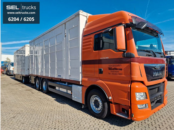 Gyvulių pervežimo sunkvežimis MAN TGX 26.480 / Durchladezug / Hubdach  / 3 Stock: foto 3