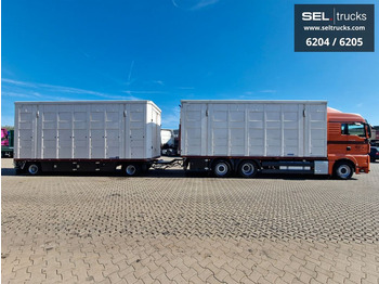 Gyvulių pervežimo sunkvežimis MAN TGX 26.480 / Durchladezug / Hubdach  / 3 Stock: foto 4