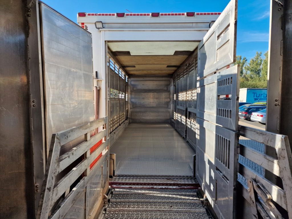 Gyvulių pervežimo sunkvežimis MAN TGX 26.480 / Durchladezug / Hubdach  / 3 Stock: foto 11