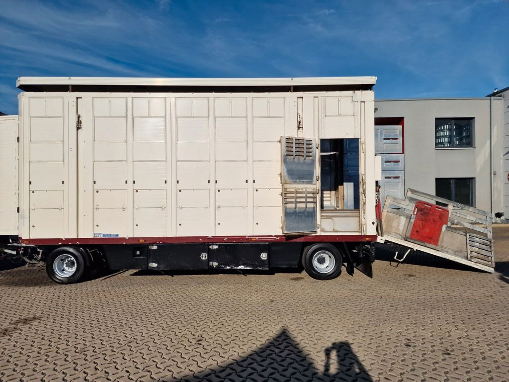 Gyvulių pervežimo sunkvežimis MAN TGX 26.480 / Durchladezug / Hubdach  / 3 Stock: foto 25