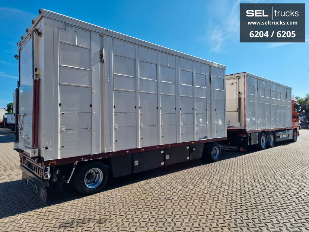 Gyvulių pervežimo sunkvežimis MAN TGX 26.480 / Durchladezug / Hubdach  / 3 Stock: foto 5