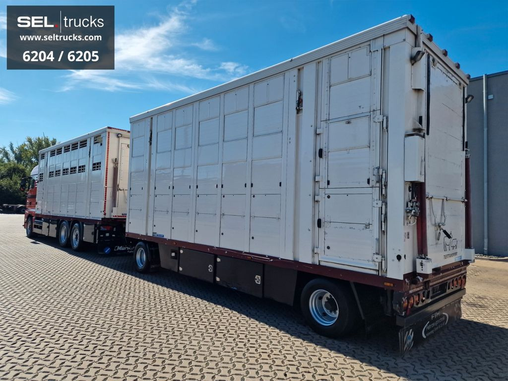 Gyvulių pervežimo sunkvežimis MAN TGX 26.480 / Durchladezug / Hubdach  / 3 Stock: foto 7