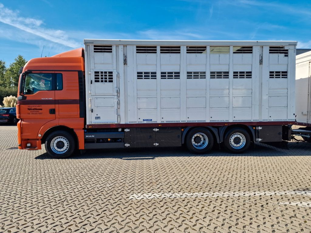 Gyvulių pervežimo sunkvežimis MAN TGX 26.480 / Durchladezug / Hubdach  / 3 Stock: foto 9