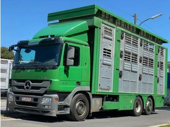 Gyvulių pervežimo sunkvežimis Mercedes-Benz 2548 Finkl 3 Stock , Hubdach , Lift: foto 1