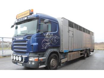 Gyvulių pervežimo sunkvežimis Scania R480 LB 6X2*4 HNB: foto 1
