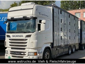 Gyvulių pervežimo sunkvežimis Scania R 560 Topline Menke 4 Stock Hubdach: foto 1