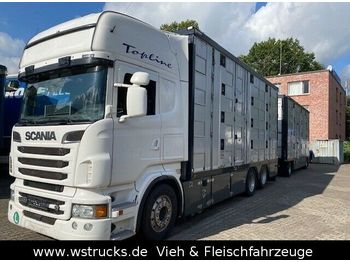 Gyvulių pervežimo sunkvežimis Scania R 560 Topline Menke 4 Stock Hubdach Komplett: foto 1