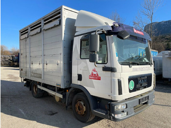 Gyvulių pervežimo sunkvežimis MAN TGL 12.220