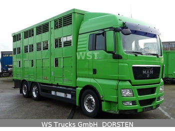 Gyvulių pervežimo sunkvežimis MAN TGX 26.480