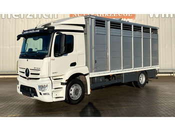 Gyvulių pervežimo sunkvežimis MERCEDES-BENZ Actros