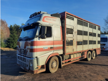 Gyvulių pervežimo sunkvežimis VOLVO FH12