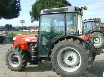 MASSEY FERGUSON 3635 frutteto dt
 - Traktorius