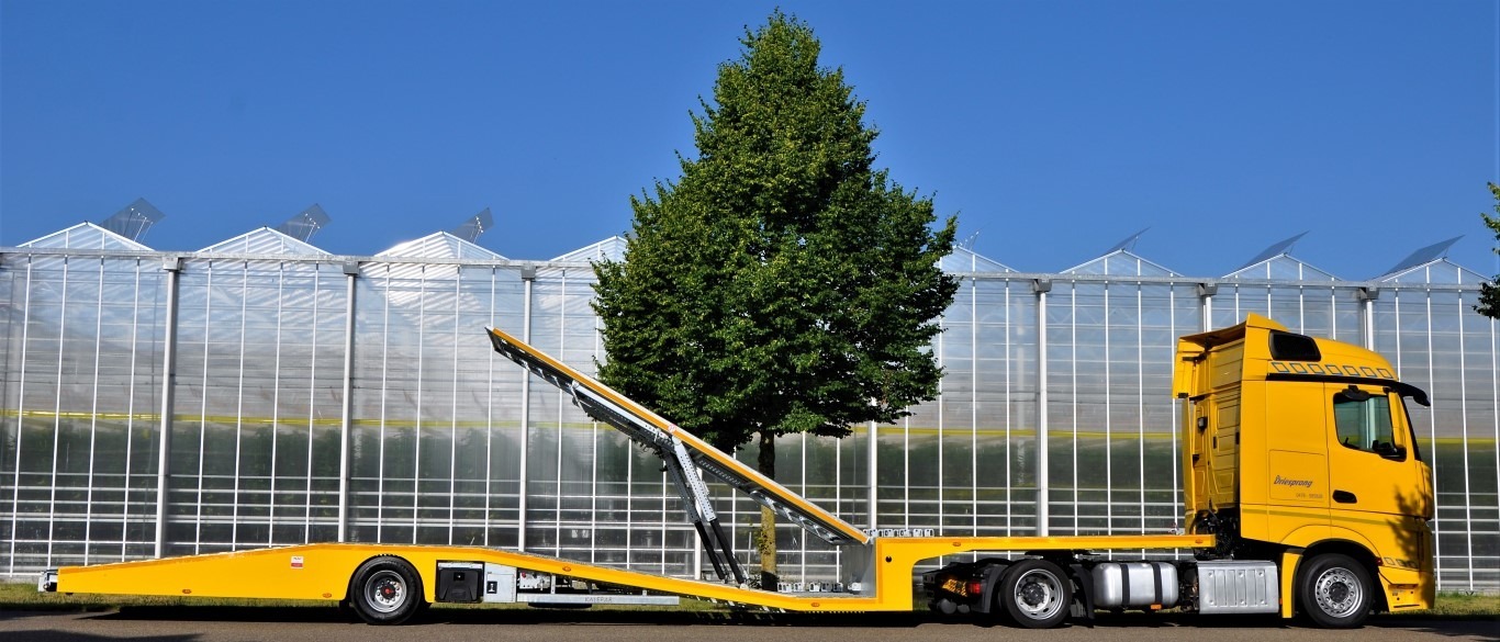 Kalepar undefined: foto 4