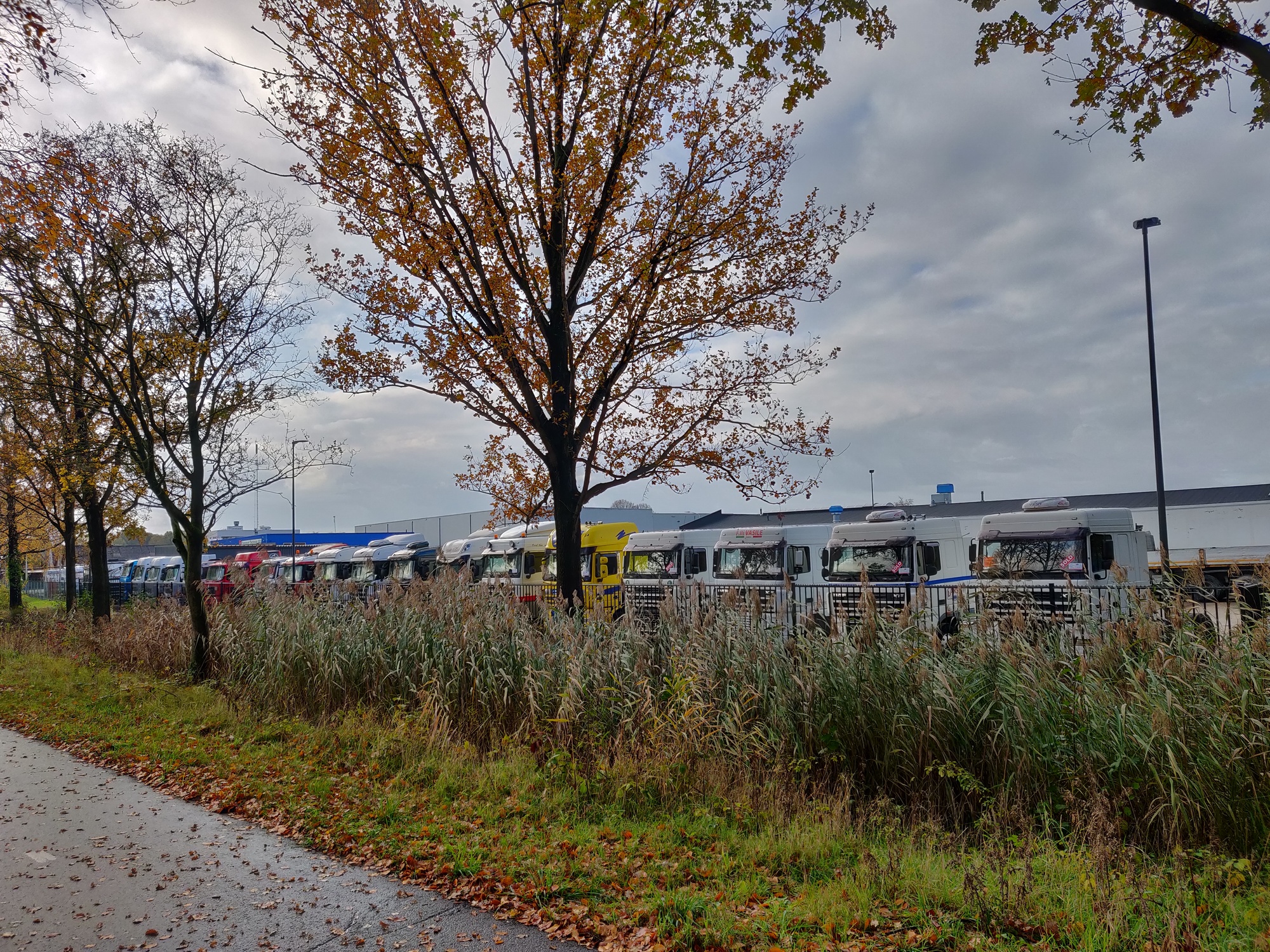 Truck Trading Holland - Pardavimo skelbimai undefined: foto 17