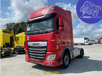 Vilkikas DAF XF 105 480