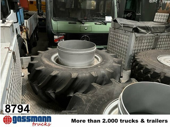 Padangos ir ratlankiai