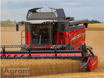 Derliaus nuėmimo kombainas MASSEY FERGUSON