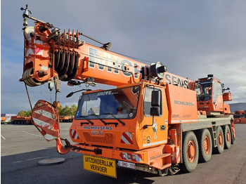 Visureigis kranas GROVE