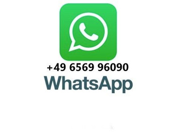 Mercedes-Benz Actros 3340 6x6 Dautel Wechselsystem + Kupplung lizingą Mercedes-Benz Actros 3340 6x6 Dautel Wechselsystem + Kupplung: foto 2