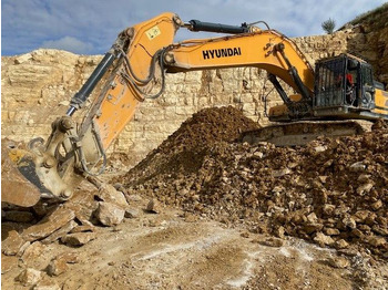 Vikšrinis ekskavatorius HYUNDAI