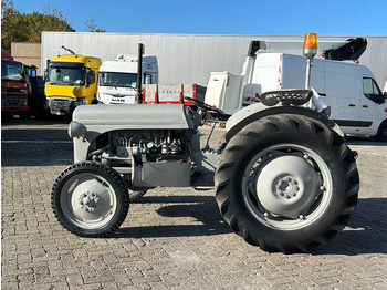 Traktorius MASSEY FERGUSON