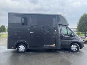 Sunkvežimis žirgams vežti FIAT