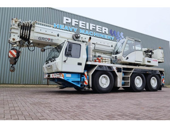 Visureigis kranas GROVE