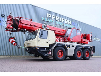 Visureigis kranas GROVE