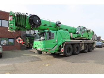 Visureigis kranas GROVE