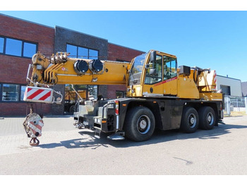 Visureigis kranas DEMAG