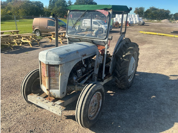Traktorius MASSEY FERGUSON