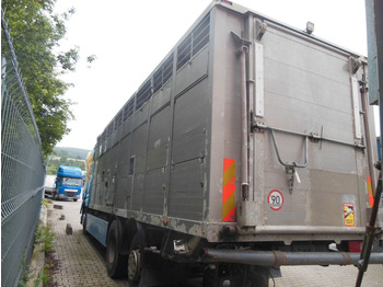Gyvulių pervežimo sunkvežimis DAF XF 106.460, MENKE-JANZEN, UNFALL-FAHRBAR!!: foto 4