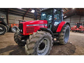 Traktorius MASSEY FERGUSON 6290