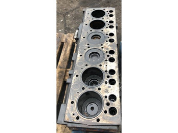 Variklis MASSEY FERGUSON