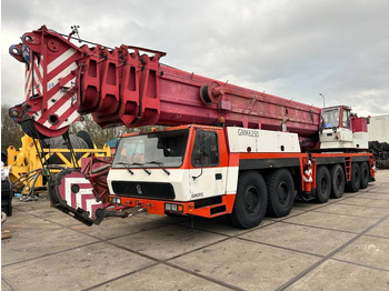 Visureigis kranas GROVE